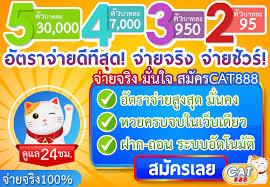 เว็บพนันออนไลน์ ไม่ผ่านเอเย่นต์ 2024